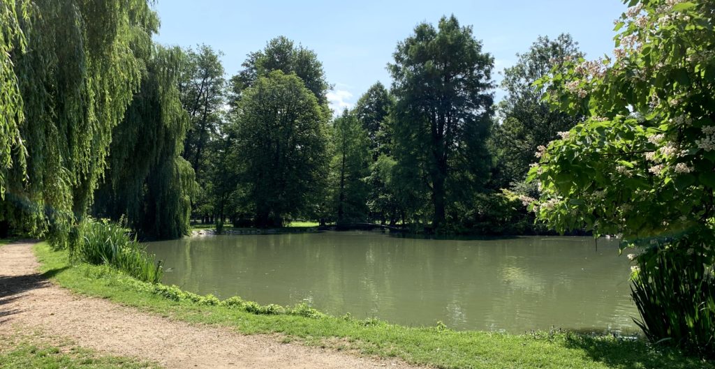 Zámecký park Častolovice - rybník