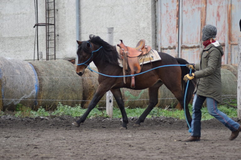 Kurz jízdy na koni Horní Moštěnice (okr. Přerov)